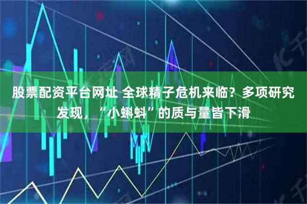 股票配资平台网址 全球精子危机来临？多项研究发现，“小蝌蚪”的质与量皆下滑